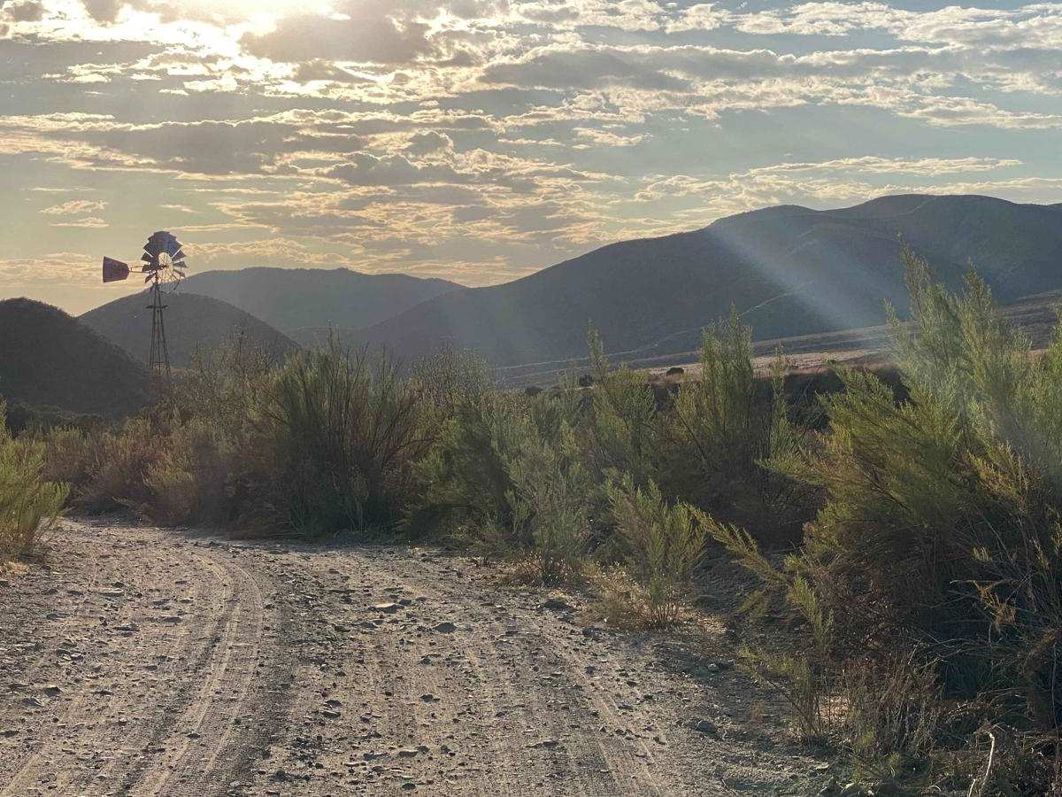 Quail Canyon Road trail photo