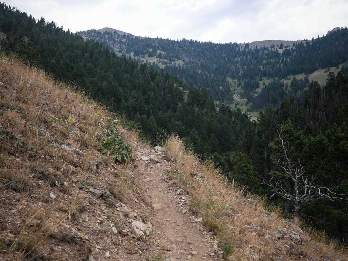Bridger Mountains photo 3