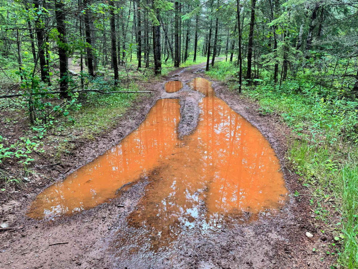 Camper Trail photo 4