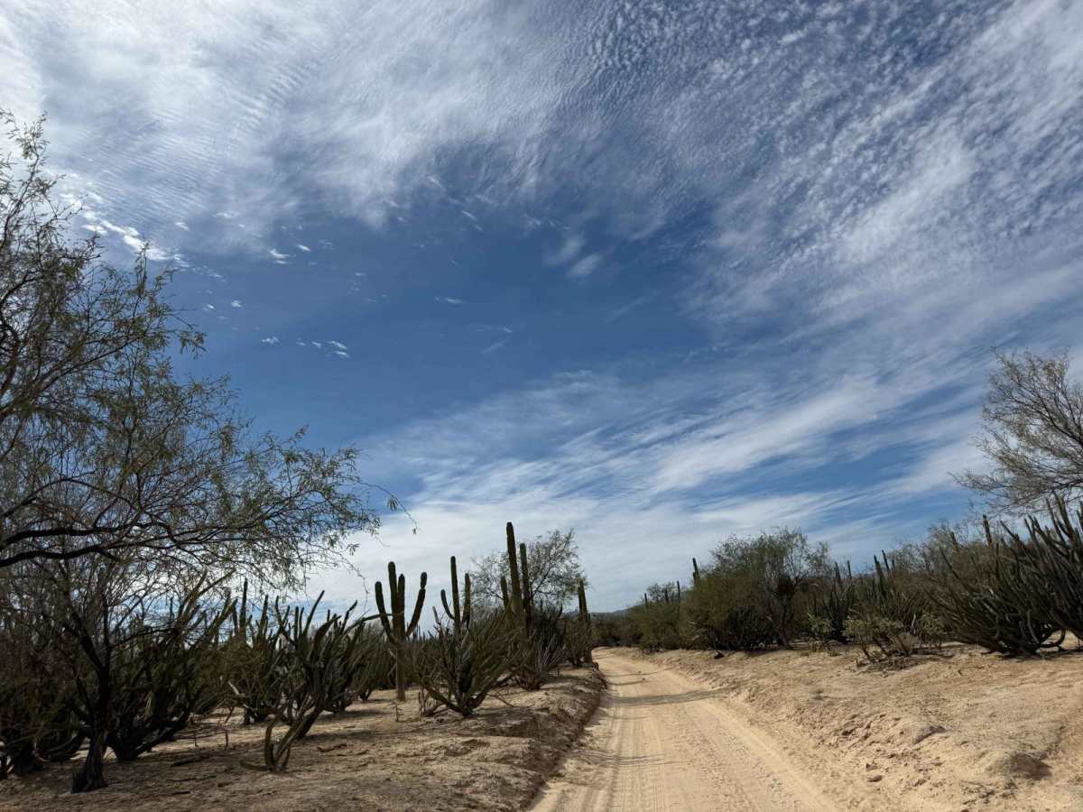South of Los Planes/ San Blas Connecting Trail photo 6