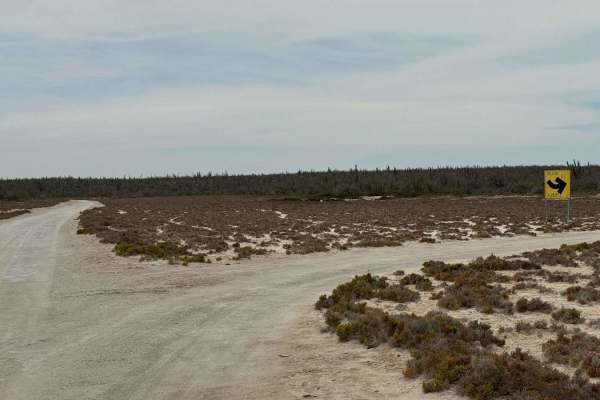 El Alhuate Loop
