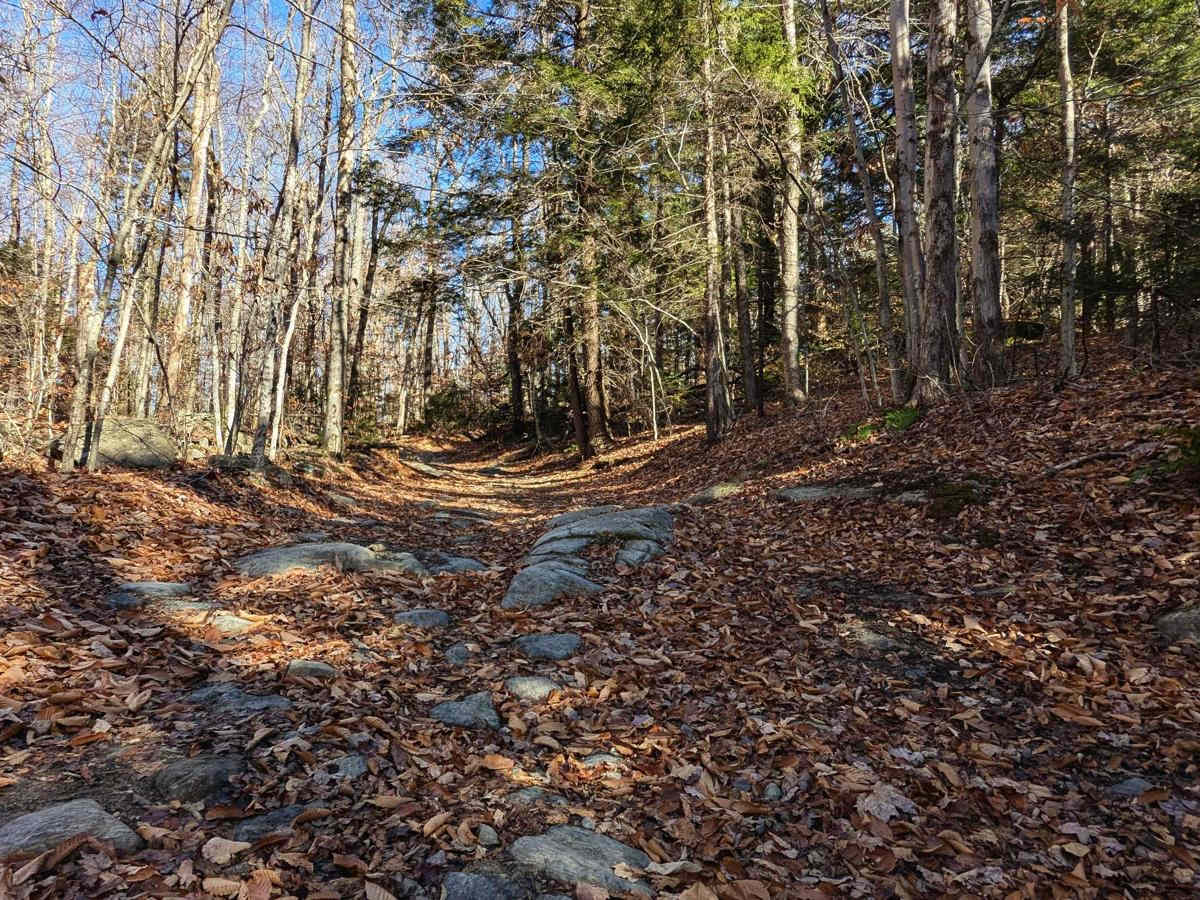 Ashley Lake Road photo 5