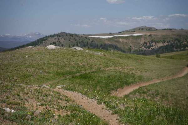 Monarch Crest