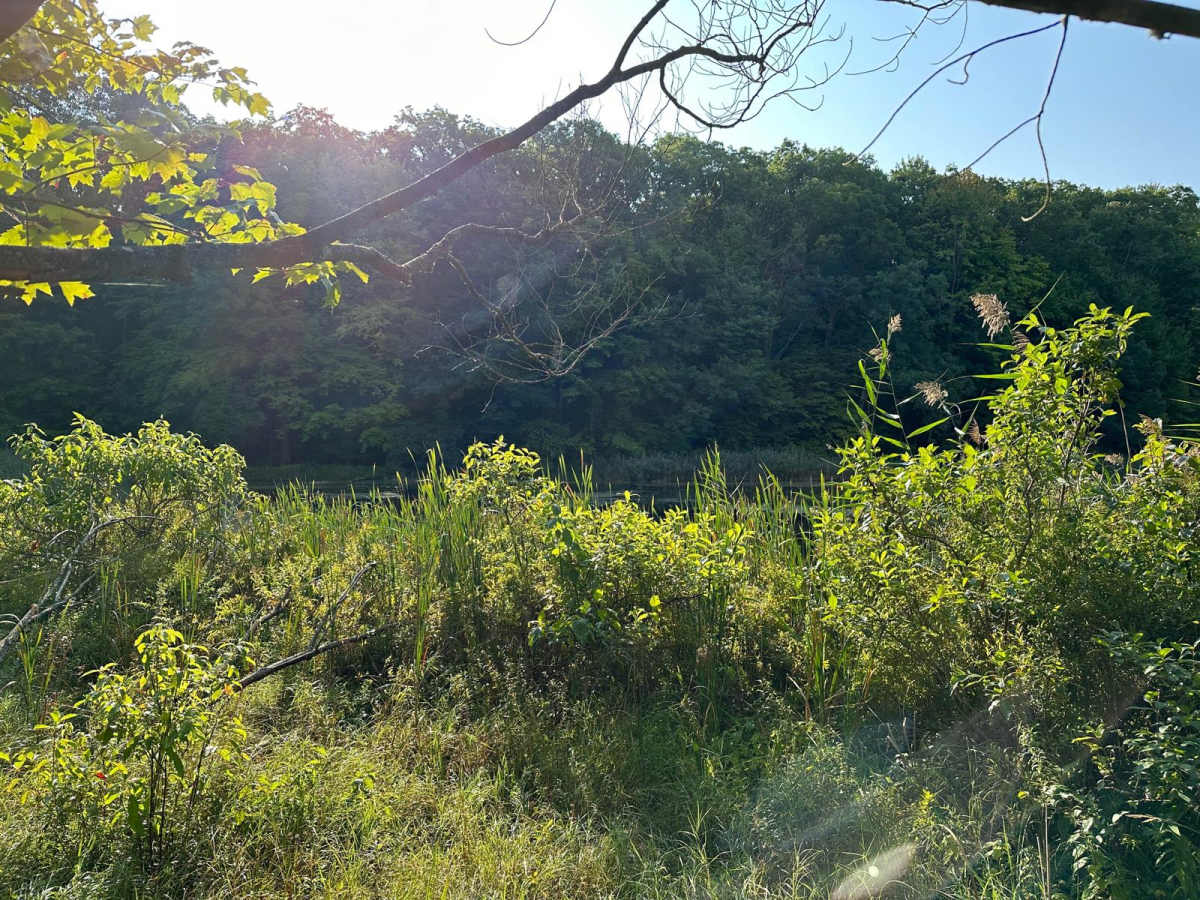 Lake Trail FS 6332 photo 3