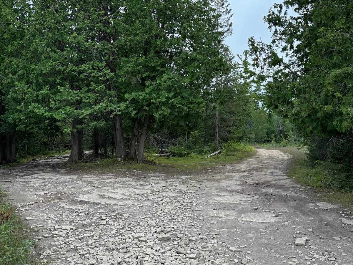 ORV Bypass - 492 trail photo