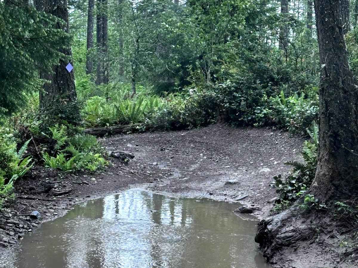 Door Bender Trail photo 2