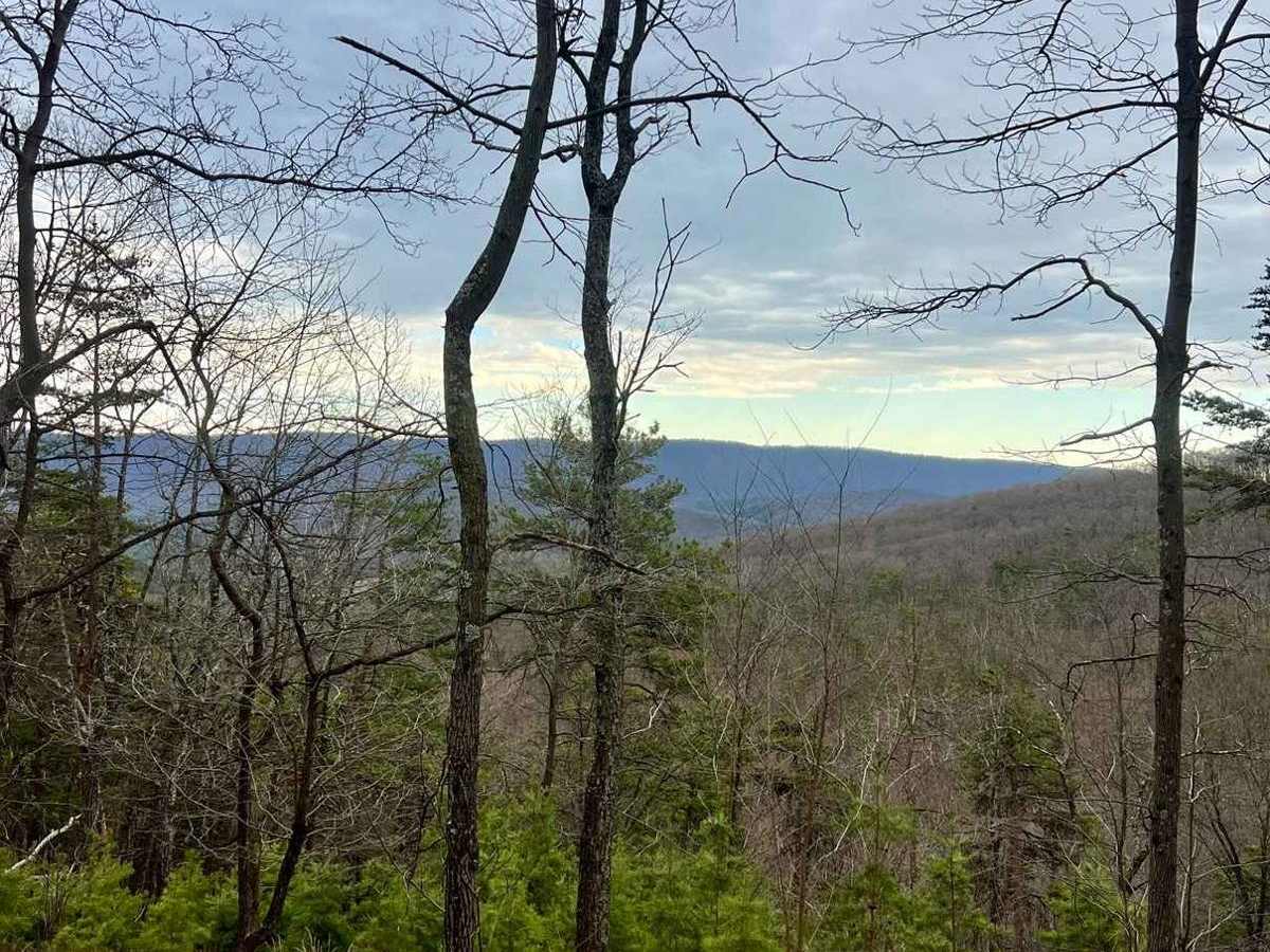 Gauley Ridge Forest Road photo 3