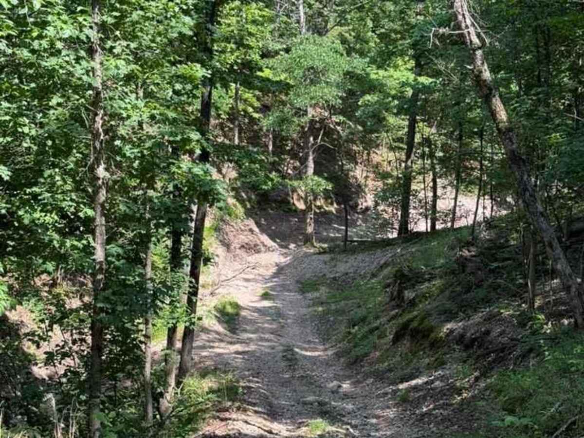 Abby's Trail photo 5