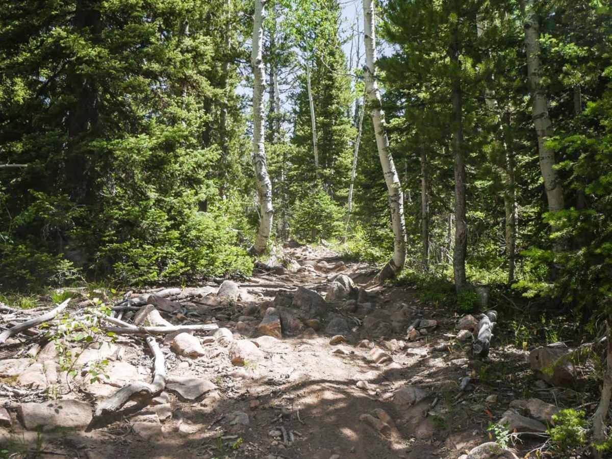 Whiskey Creek photo 6