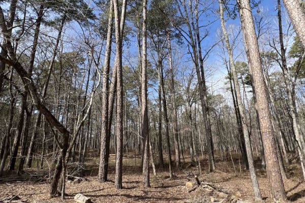 Big Cove Road 739