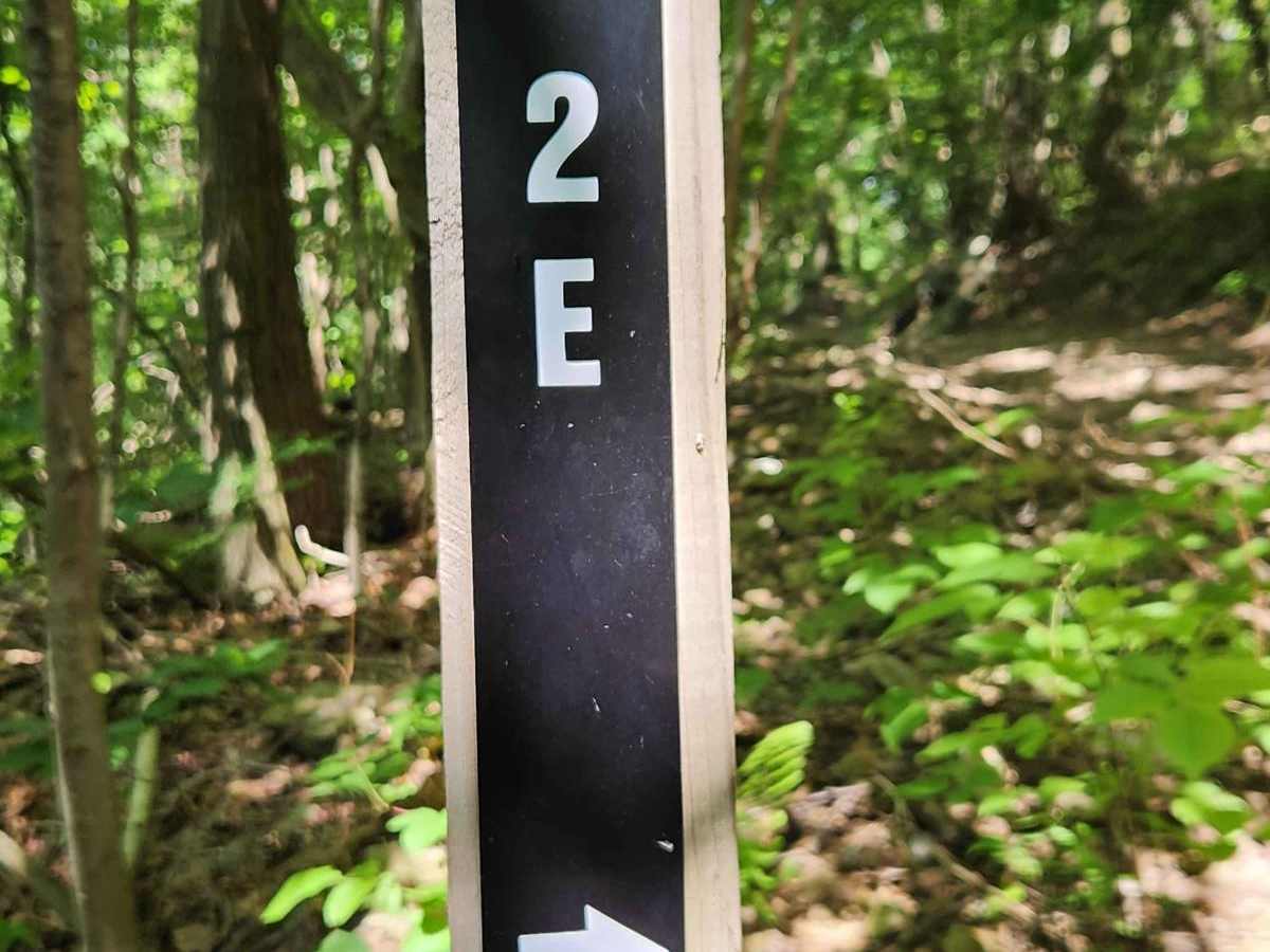 Trail 2E - Rock Run Recreation trail photo