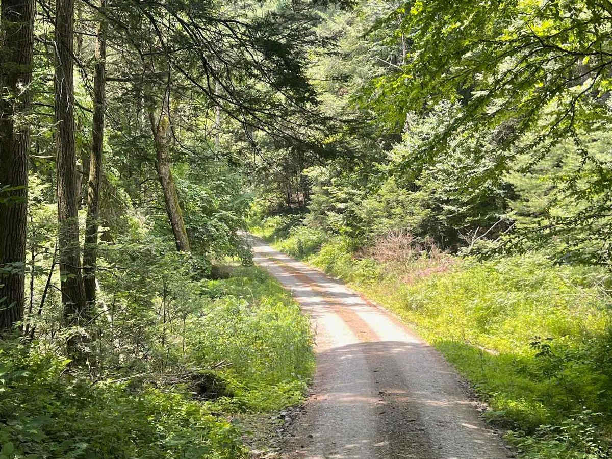 Schwenks Gap Road photo 2