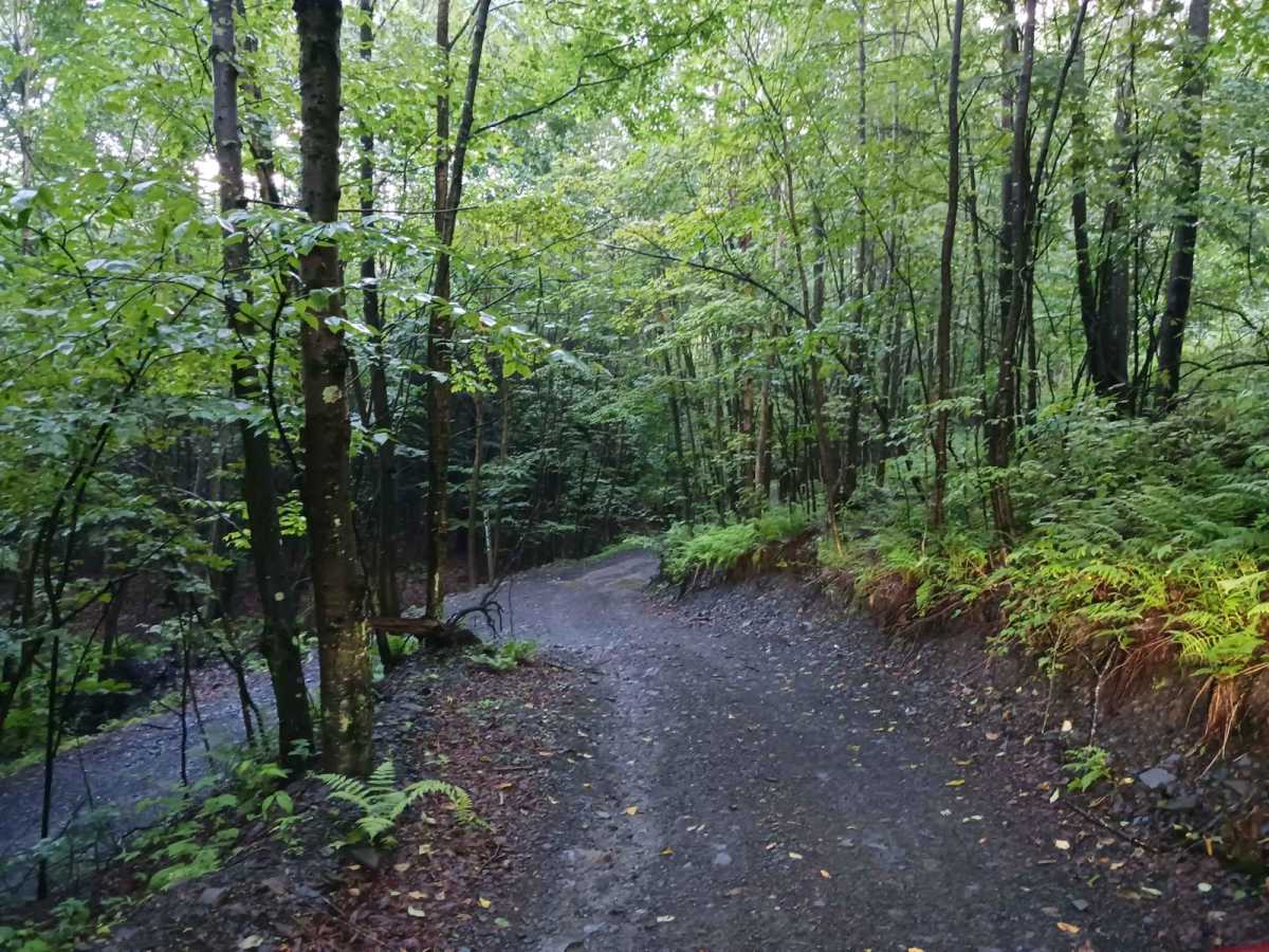 Trail 12L - Rock Run Recreation Area photo 2