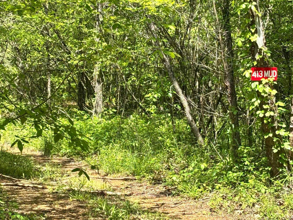 413 Mud trail photo