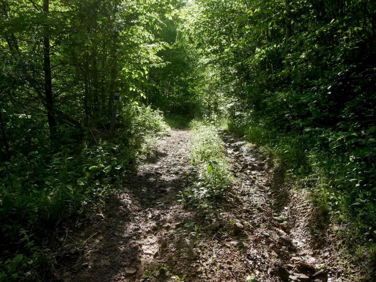 RV27 trail photo