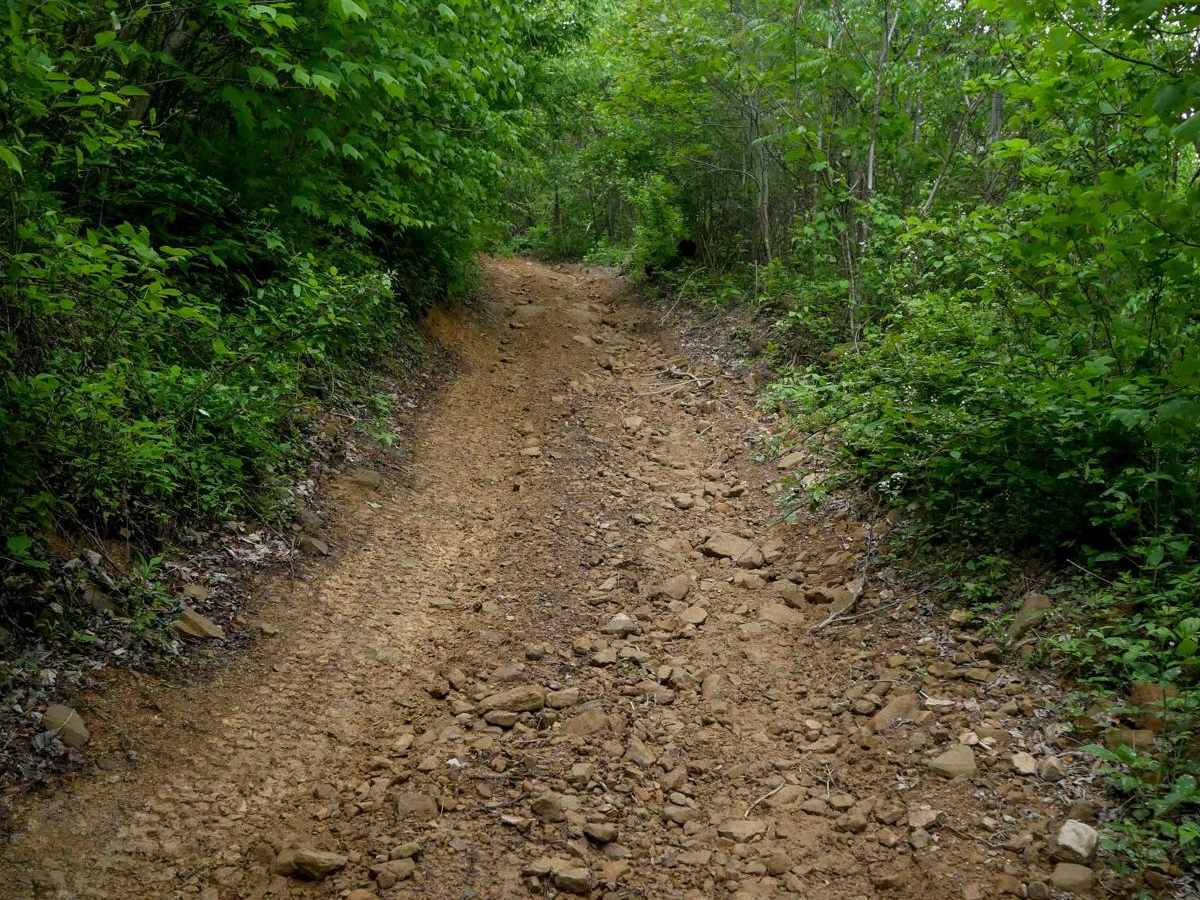 OP 57 trail photo