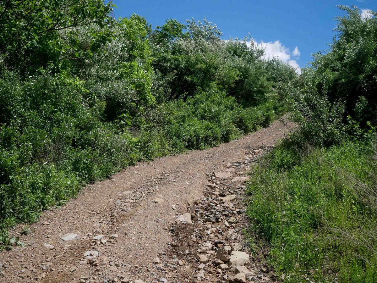 CC9 trail photo
