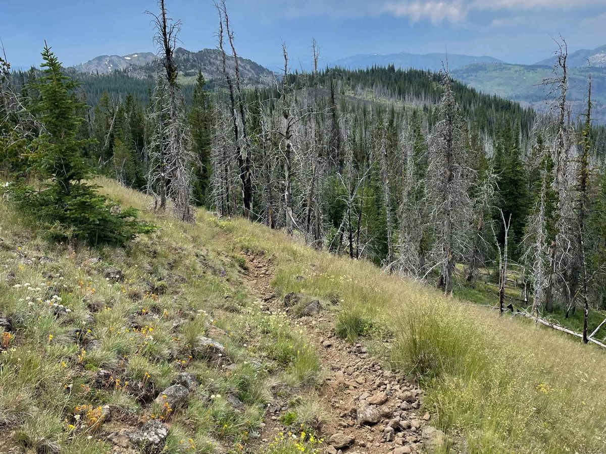 Lava Ridge photo 3