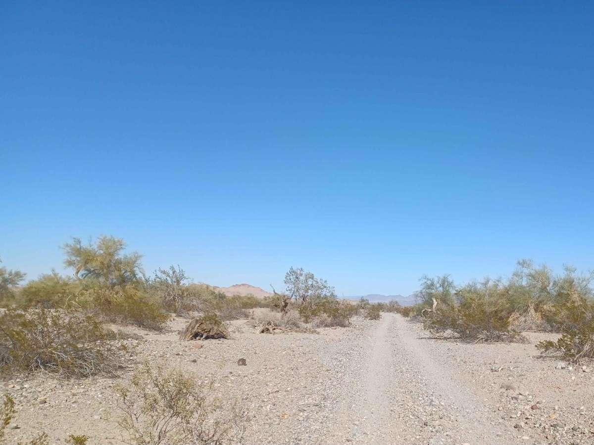 Vinagre Wash photo 6