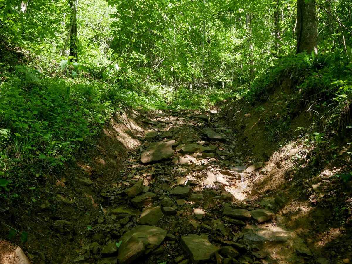 CC87 trail photo
