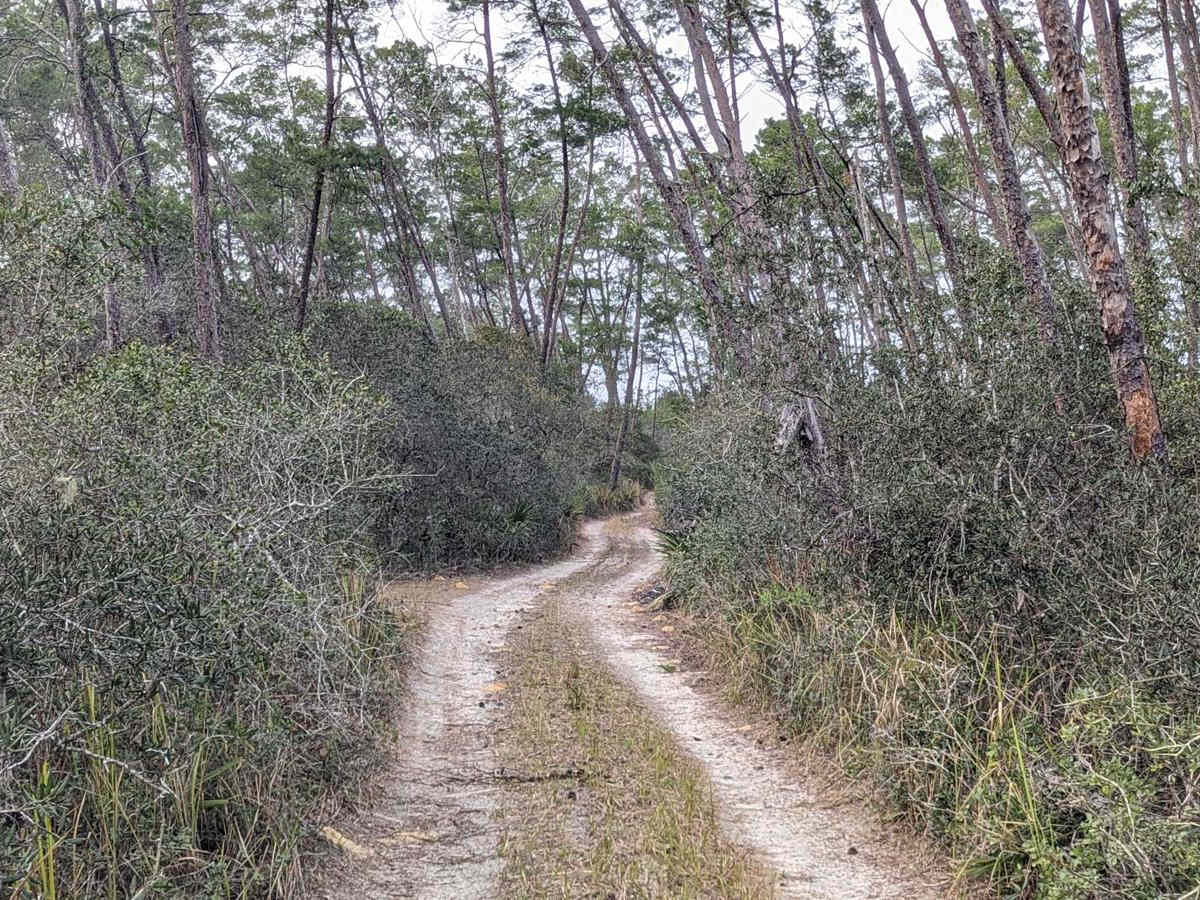 Island Lake Trail trail photo