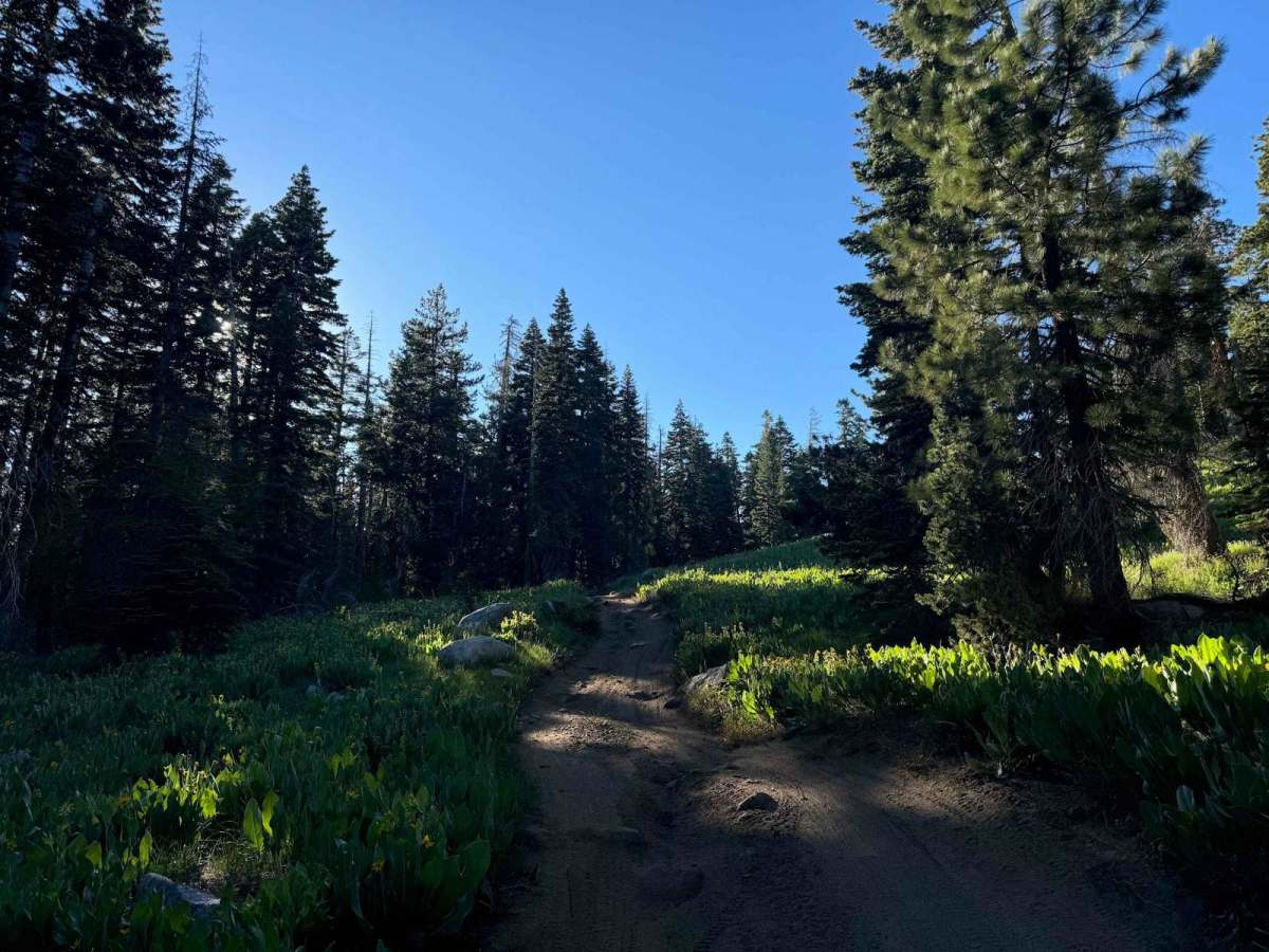 Summit Lake photo 4