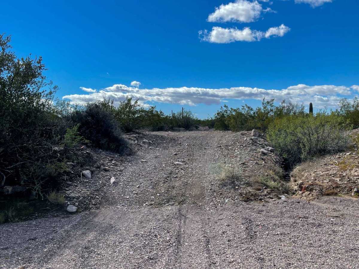 Route 012 photo 4