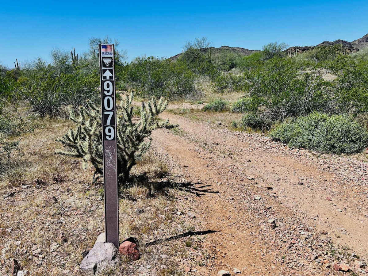 9058 Old Corral photo 6