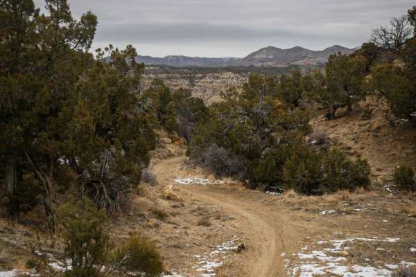 Sarlacc Trail