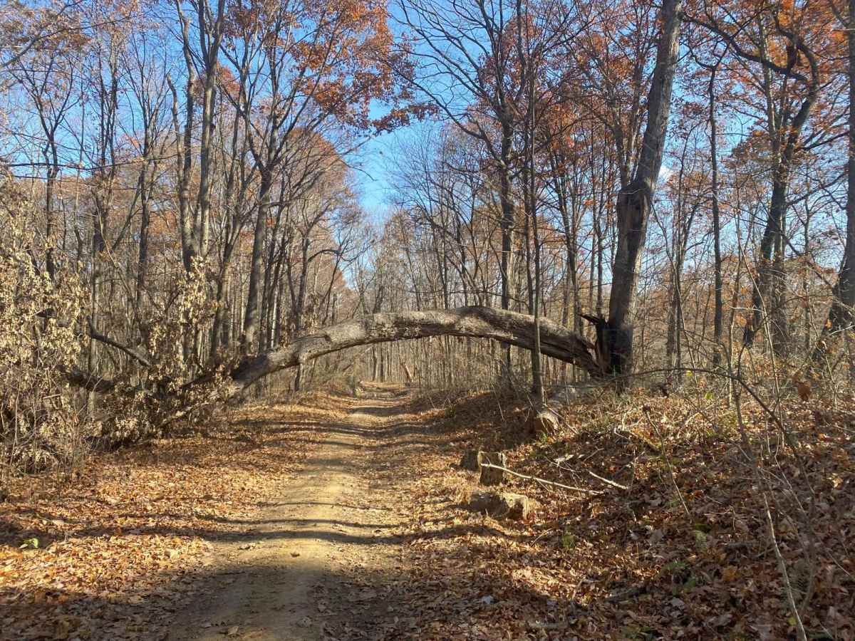 Pleasant Ridge Road - The Tar Hollow Trails trail photo