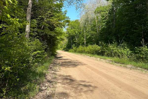 Landis Road