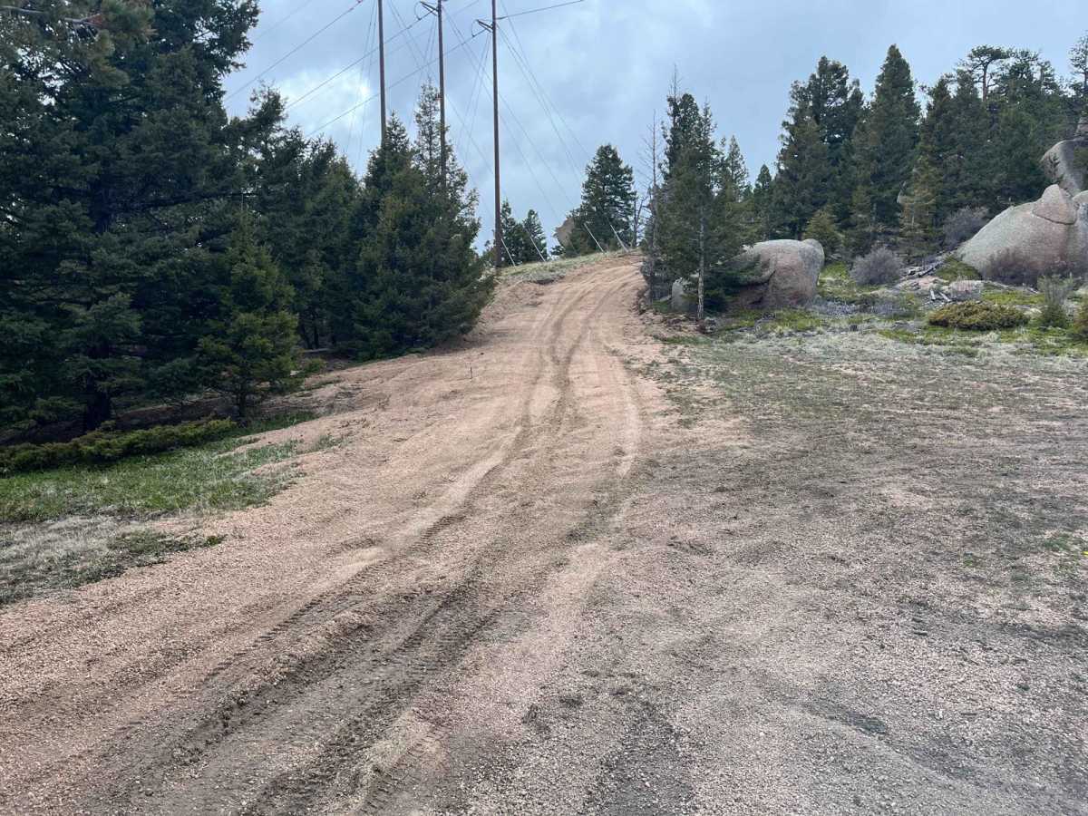 Powerline East Road 318 photo 5