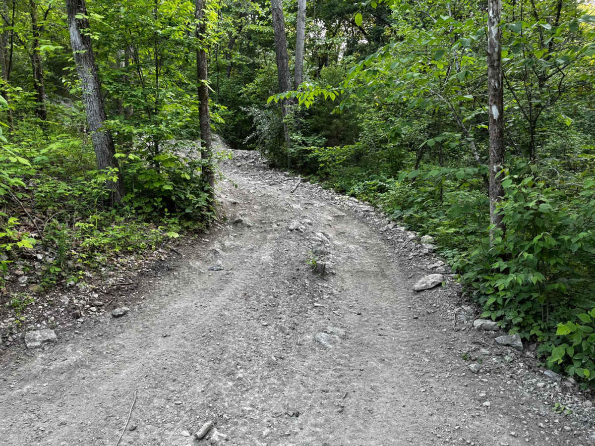 Yellow 148 trail photo
