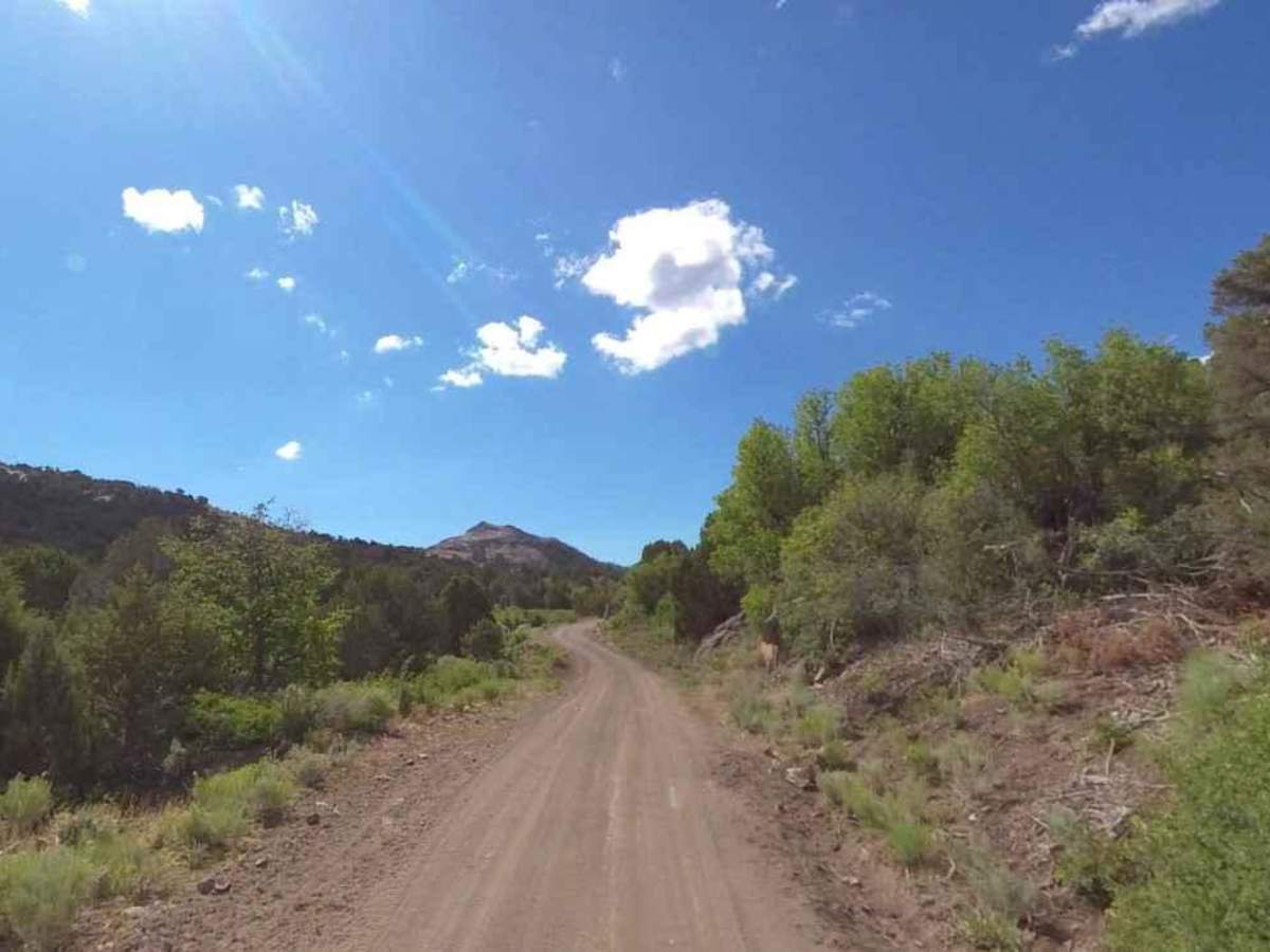 Page Ranch Road-FR30029 photo 4