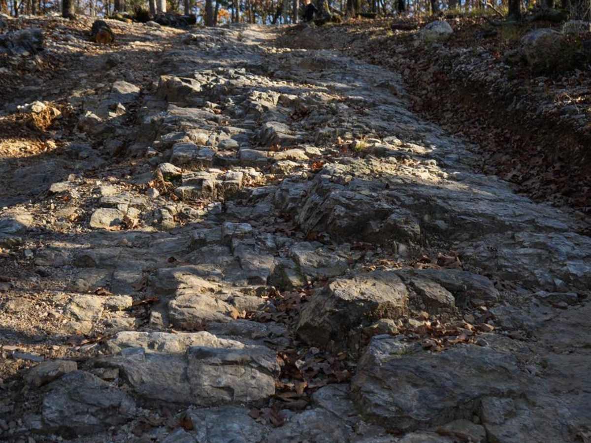 G1 Ultimate Adventure trail photo