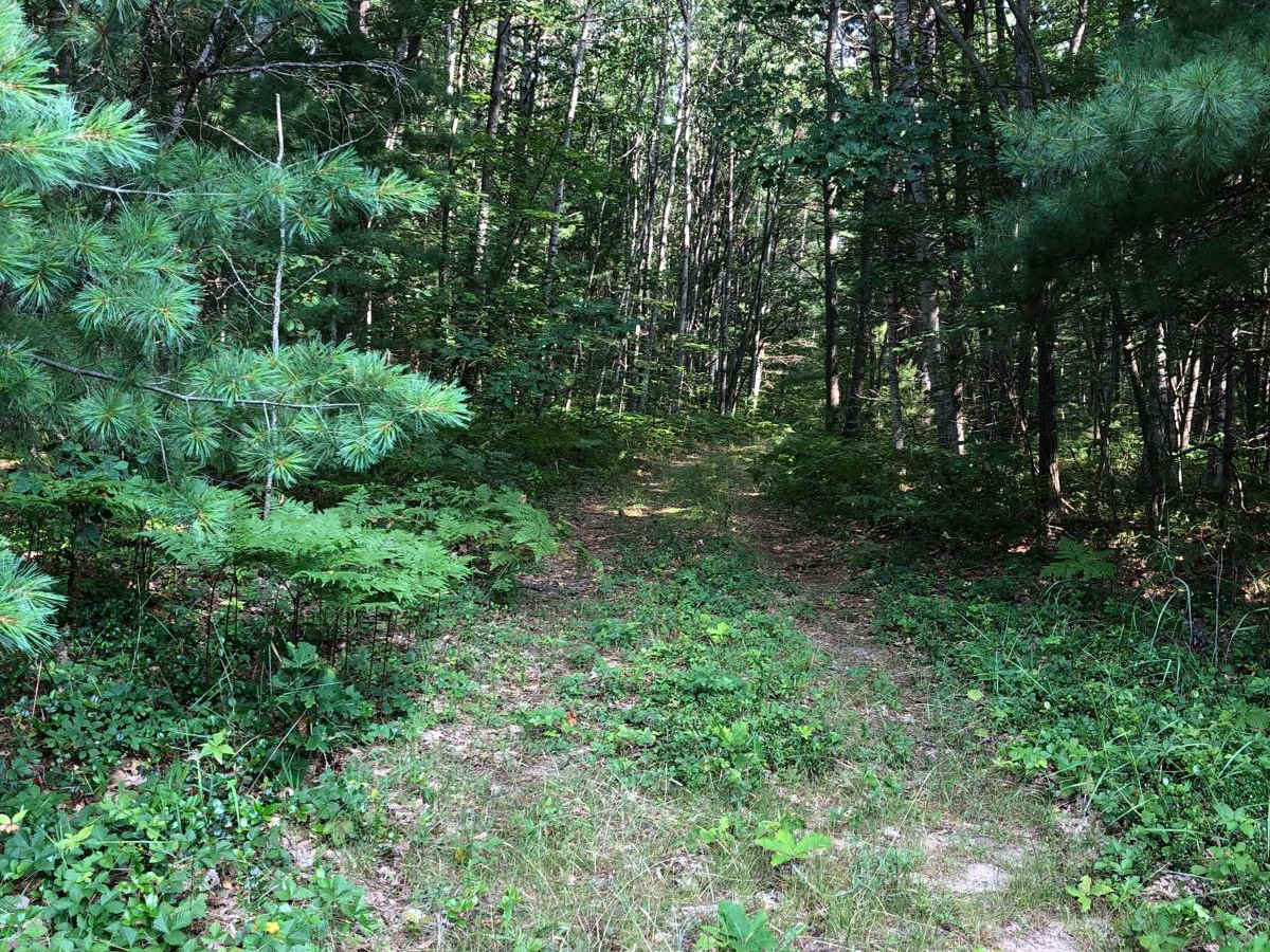 Ray-646 Connector trail photo