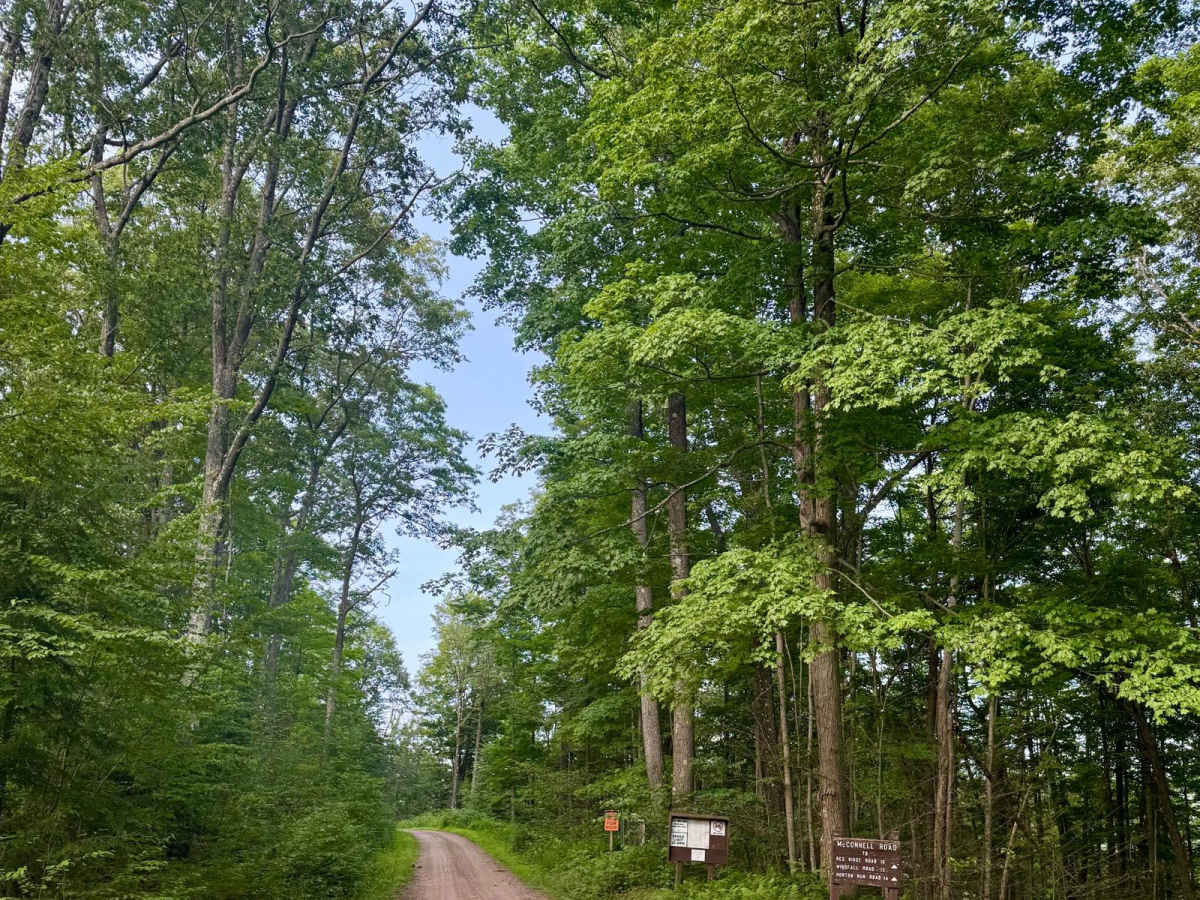 McConnell Road photo 2
