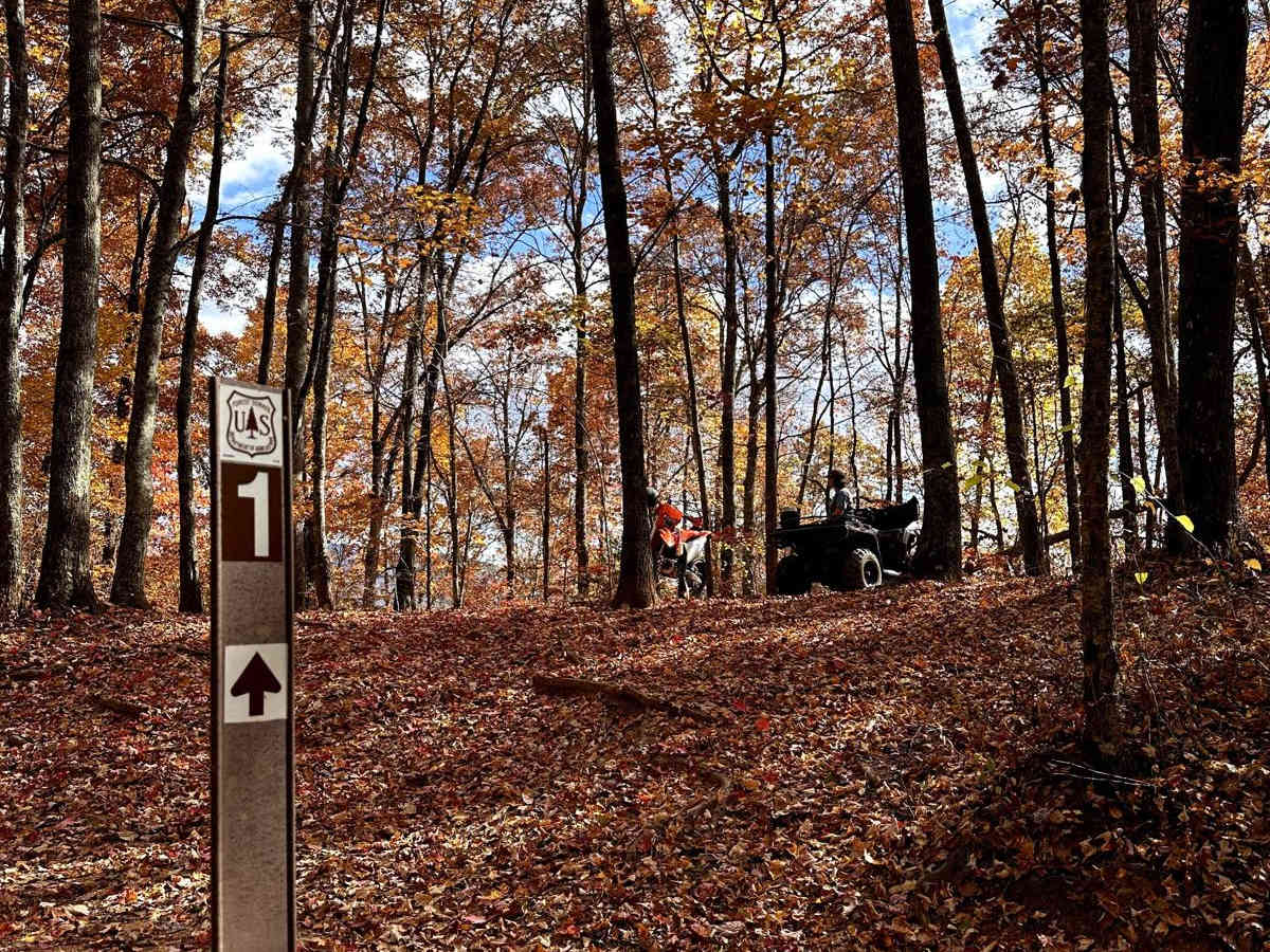 Trail 1 - Wayehutta Loop photo 3