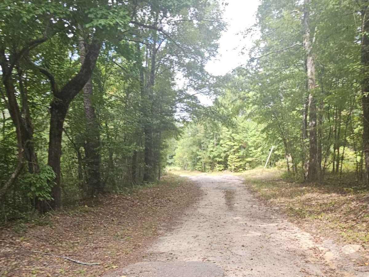 Mayson Crossroads Bypass - FS 585/585C trail photo