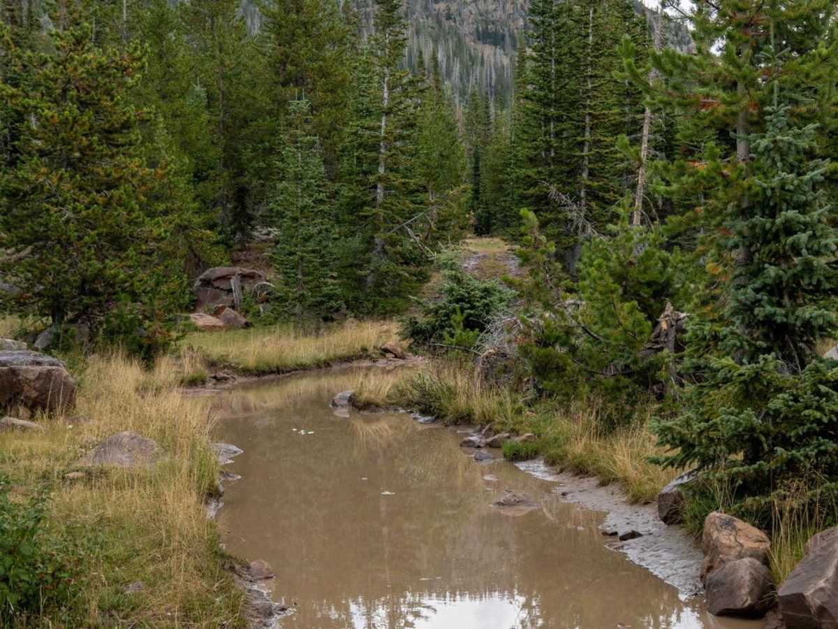 Castle Lake photo 4