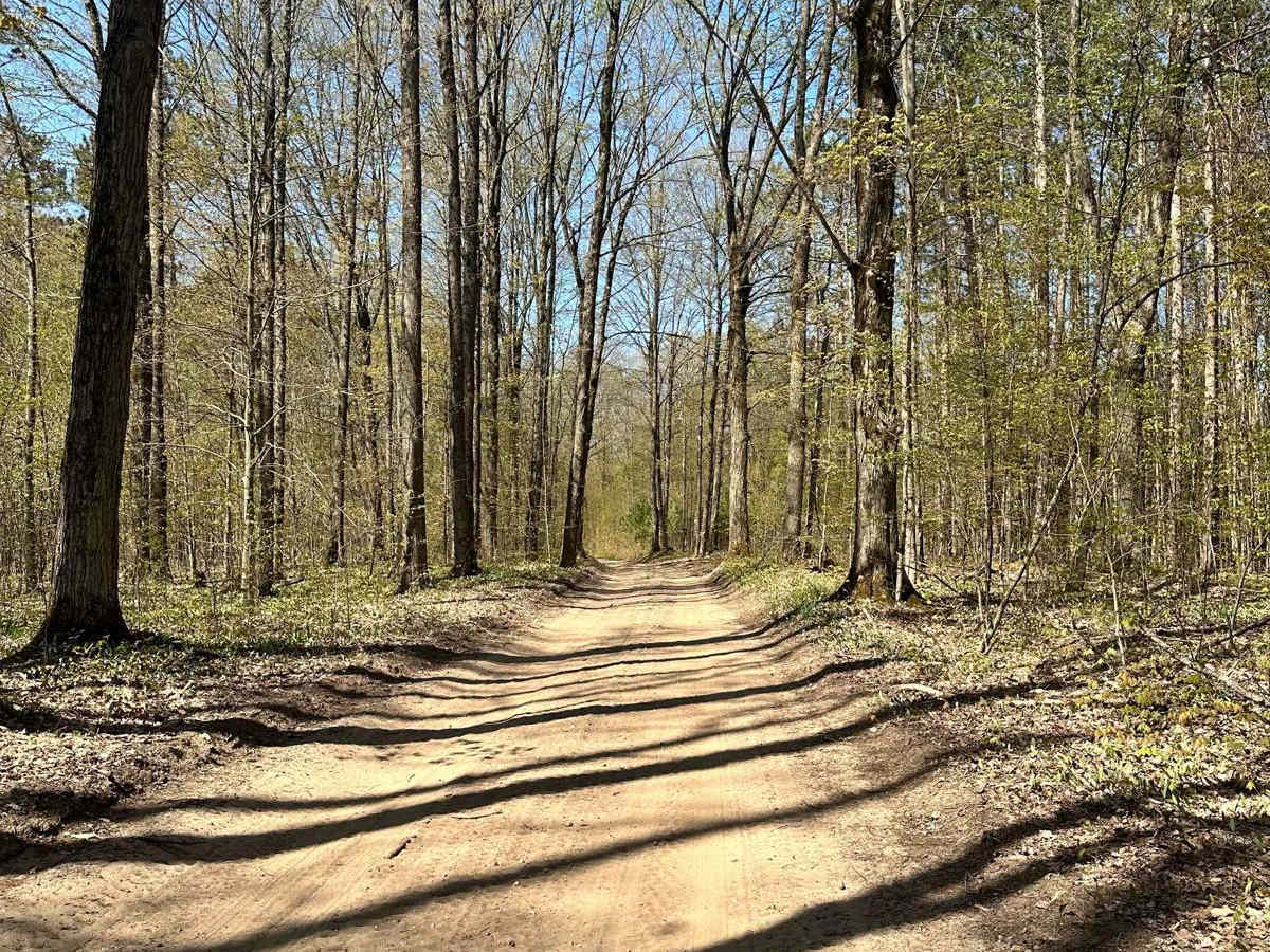 Cadillac Area ORV/OHV Scenic Ride - Part 14 photo 5