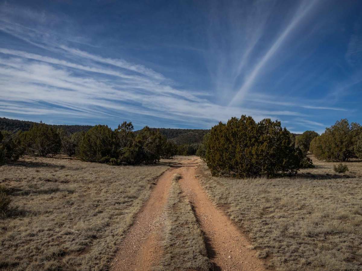 Dry Gulch Trail photo 5