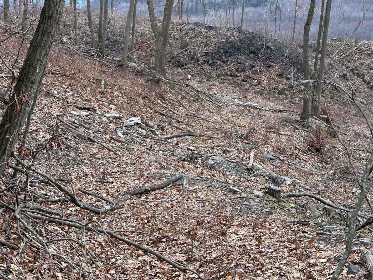 Ashland 66 photo 5