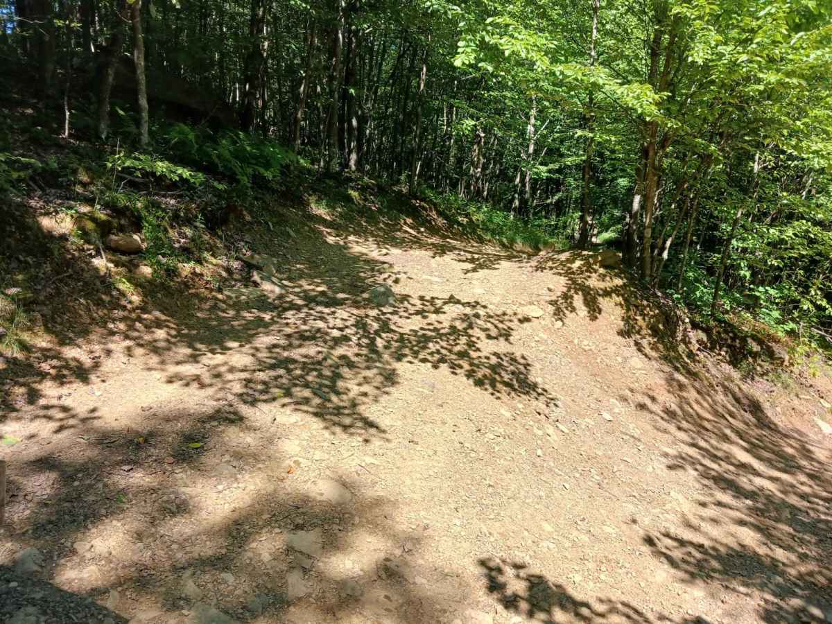 Trail 14A - Rock Run Recreation Area photo 5