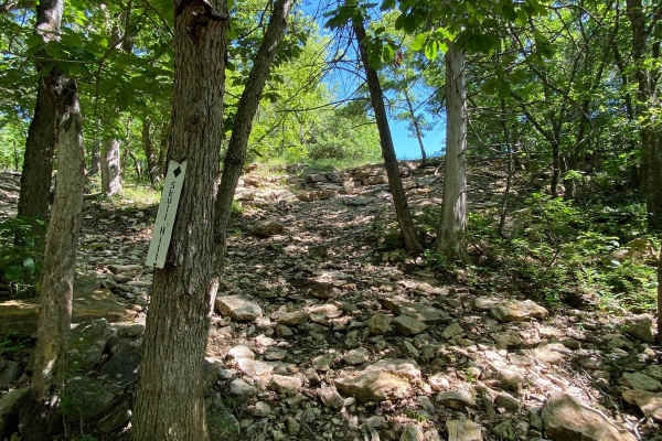 Skull Hill