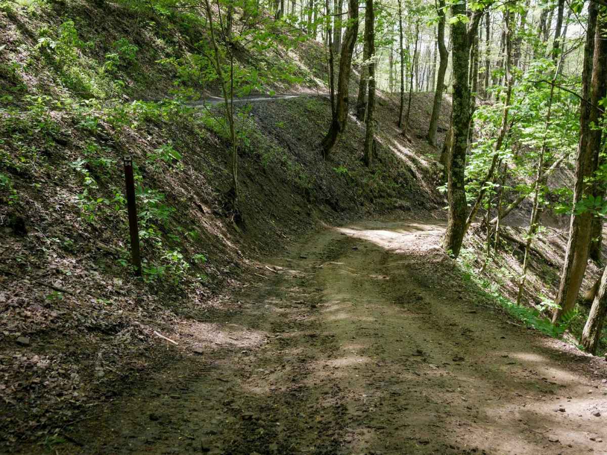 IR 54 trail photo