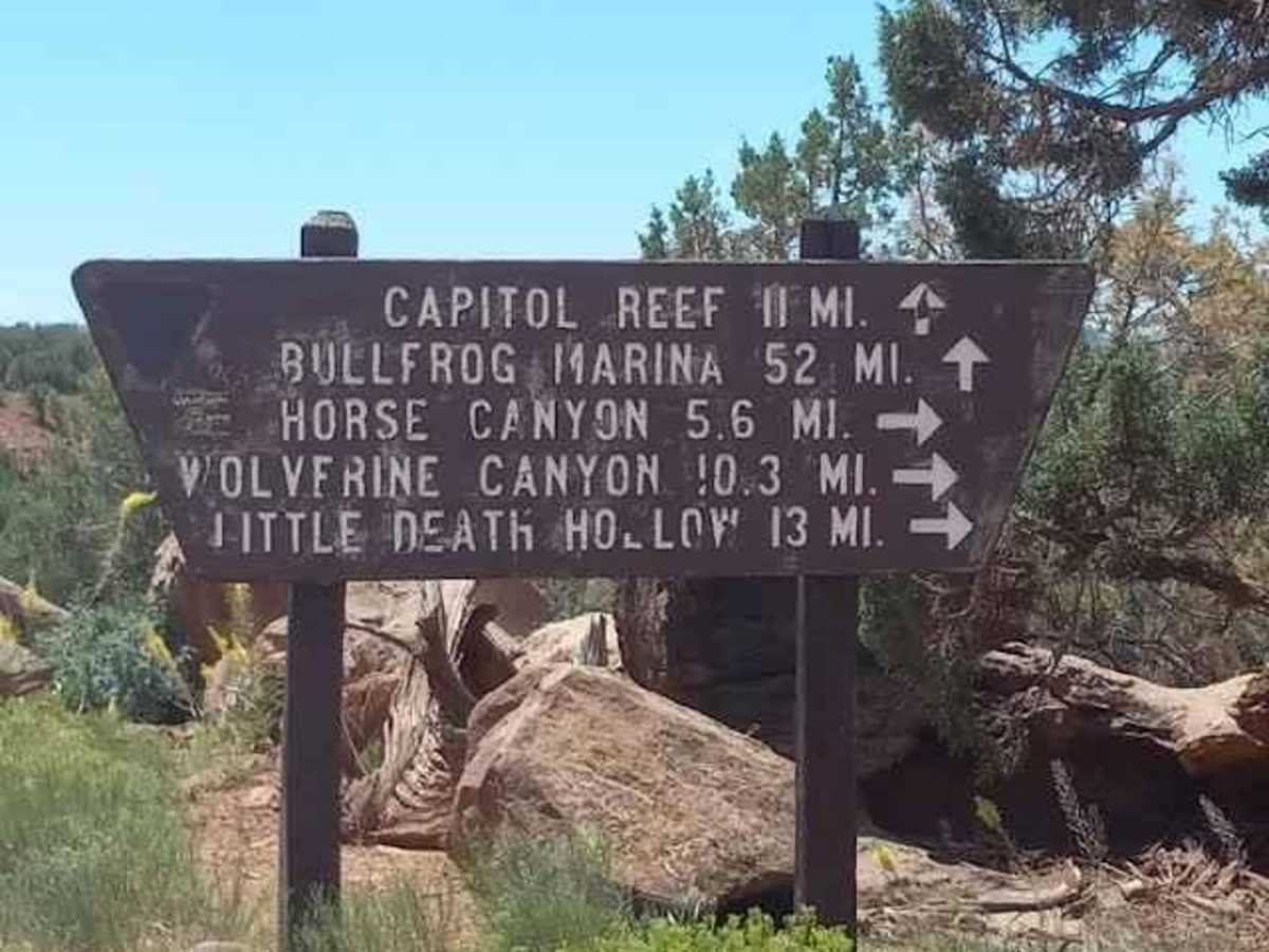 Wolverine Loop Road - 0640 trail photo