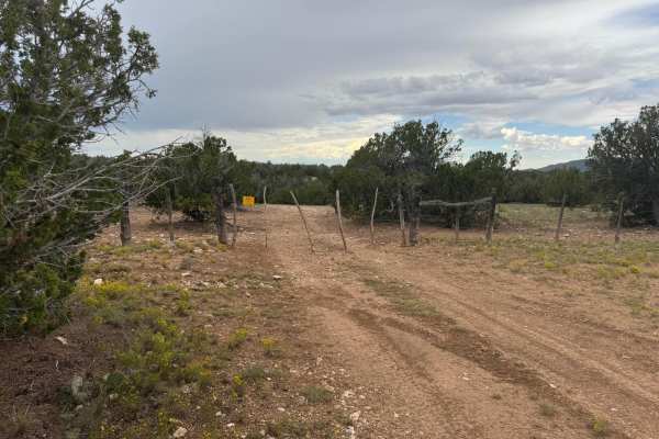 9423H Trail