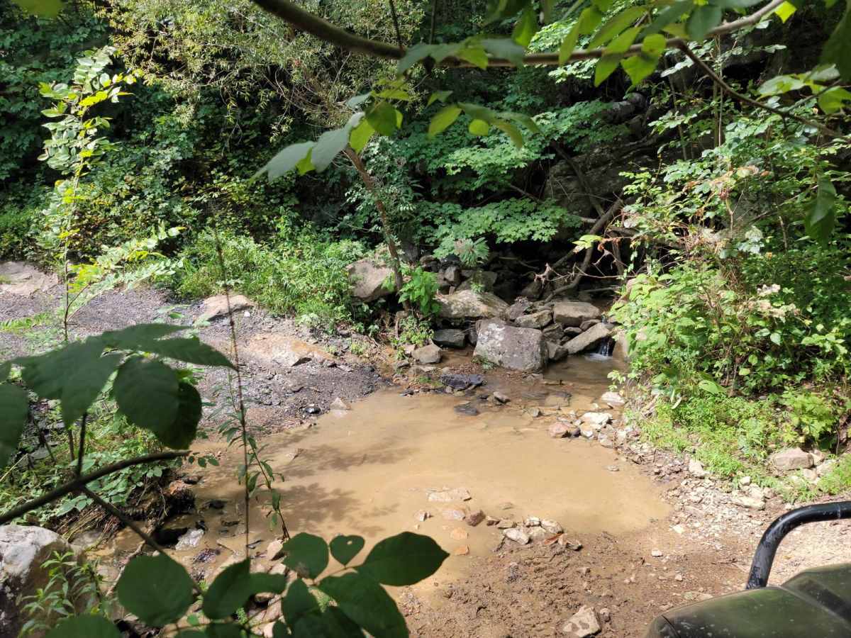 73 - Harness Creek photo 2