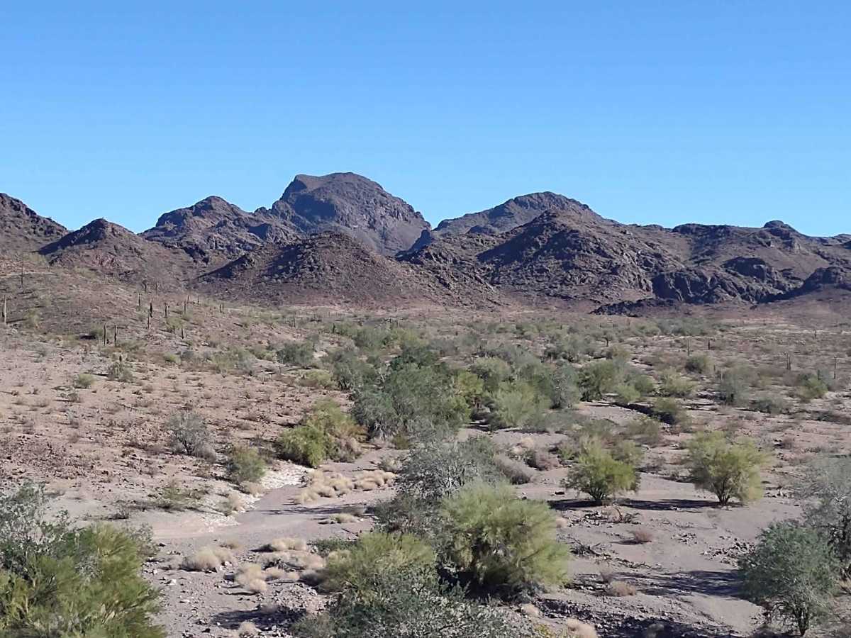 Four Peaks to Plomosa Road trail photo